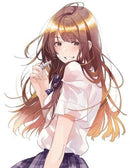 Chasing After Aoi Koshiba 3-9781646512454