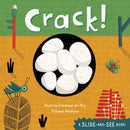 Crack!-9781646860937