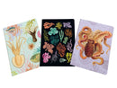 Art of Nature: Under the Sea Sewn Notebook Collection : Set of 3-9781647223847