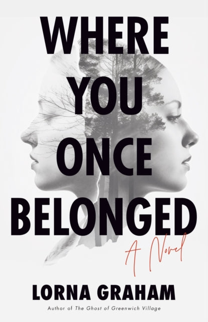 Where You Once Belonged : A Novel-9781647429027