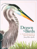 Drawn to Birds : A Naturalist's Sketchbook-9781647552251