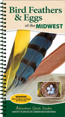 Bird Feathers & Eggs of the Midwest : Identify 40 Species of Common Backyard Birds-9781647555061
