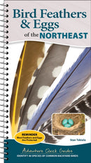 Bird Feathers & Eggs of the Northeast : Identify 40 Species of Common Backyard Birds-9781647555337