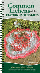 Common Lichens of the Eastern United States : Easily Identify More Than 55 Widespread Types-9781647556006