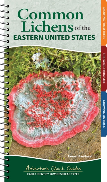 Common Lichens of the Eastern United States