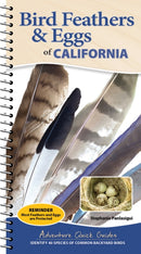 Bird Feathers & Eggs of California : Identify 40 Species of Common Backyard Birds-9781647556631
