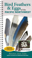 Bird Feathers & Eggs of the Pacific Northwest : Identify 40 Species of Common Backyard Birds-9781647556648