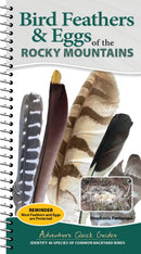 Bird Feathers & Eggs of the Rocky Mountains : Identify 40 Species of Common Backyard Birds-9781647556655