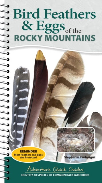 Bird Feathers & Eggs of the Rocky Mountains