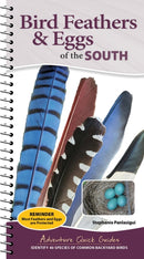 Bird Feathers & Eggs of the South : Identify 40 Species of Common Backyard Birds-9781647556662