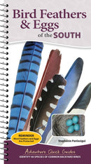 Bird Feathers & Eggs of the South