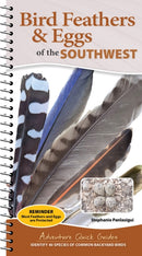 Bird Feathers & Eggs of the Southwest : Identify 40 Species of Common Backyard Birds-9781647556679