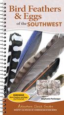 Bird Feathers & Eggs of the Southwest