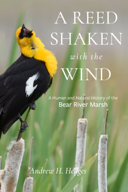 A Reed Shaken with the Wind : A Human and Natural History of the Bear River Marsh-9781647692414