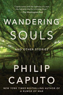 Wandering Souls : And Other Stories-9781648211584