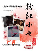 Little Pink Book : A Bad Bad Novel-9781648230417