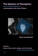 The Mystery of Perception : A Conversation with Lynne Tillman-9781648230936