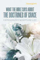 What The Bible Says About The Doctrines Of Grace : Categorized Scripture List: Categorized Scripture-9781648631214