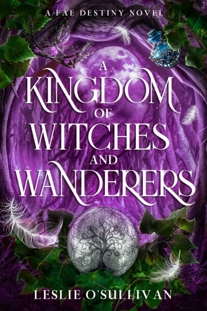 A Kingdom of Witches and Wanderers-9781648985225