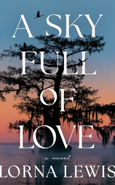 A Sky Full of Love : A Novel-9781662526947