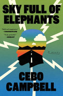 Sky Full of Elephants : A Novel-9781668034934