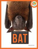 Bat-Spotlight - PB (UK)
