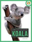 Koala- Spotlight - PB (UK)