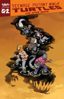 Teenage Mutant Ninja Turtles: Reborn, Vol. 2 - Life After Death-9781684057894