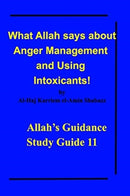 What Allah says about Anger Management and Using Intoxicants! : Allah's Guidance Study Guide 11-9781714557189