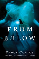 From Below-9781728220239