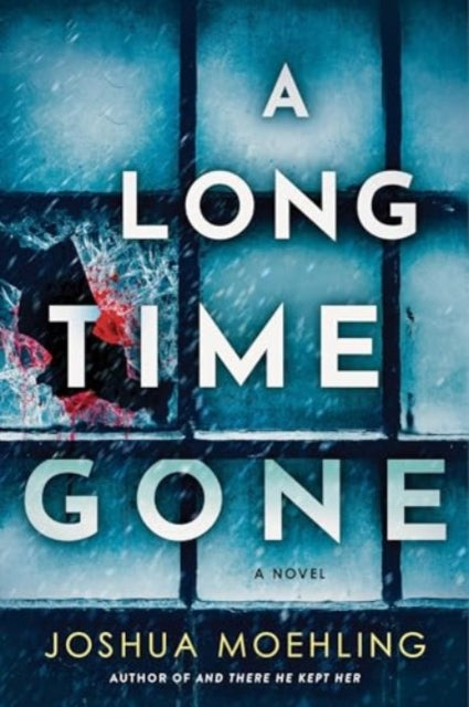 A Long Time Gone : A Novel-9781728279008