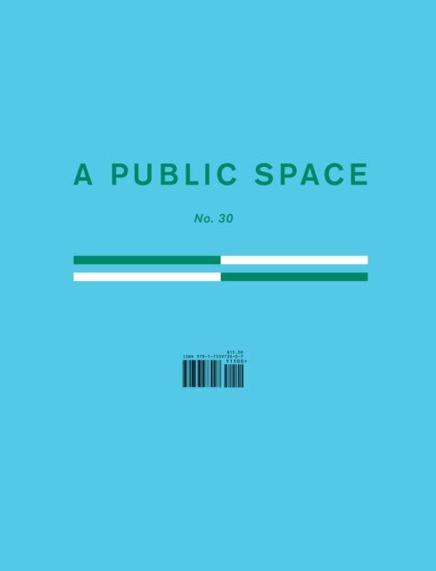 A Public Space No. 30-9781733973007