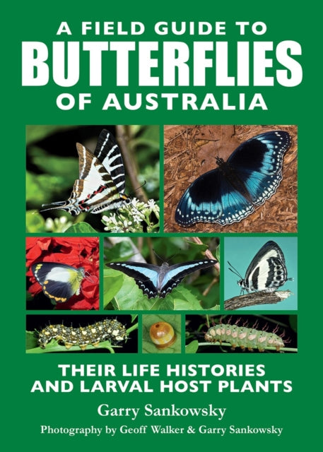 A Field Guide to Butterflies of Australia : Their Life Histories and Larval Host Plants-9781760796884