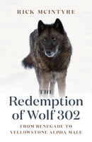 The Redemption of Wolf 302 : From Renegade to Yellowstone Alpha Male-9781771645270