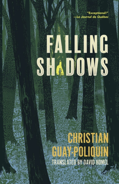 Falling Shadows-9781772014518