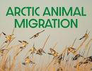 Arctic Animal Migration : English Edition-9781774506424