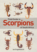 Field Guide to Scorpions of South Africa-9781775845744