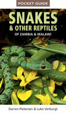 Pocket Guide to Snakes & Other Reptiles of Zambia and Malawi-9781775847168