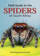 Field Guide to the Spiders of South Africa-9781775847977