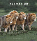 The Last Lions-9781775848097