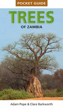Trees of Zambia