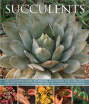 Succulents-9781780193656