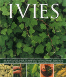 Ivies-9781780193687