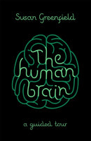 Human Brain