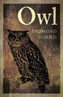 Owl-9781780239163