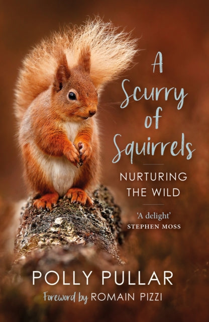 A Scurry of Squirrels : Nurturing The Wild-9781780277752