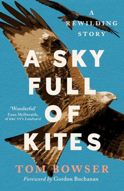 A Sky Full of Kites : A Rewilding Story-9781780277769