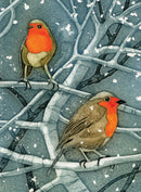 Wild Birds Pocket Notebook: Robin-9781780279367