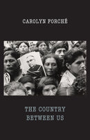 The Country Between Us-9781780373744
