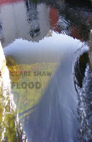 Flood-9781780374208